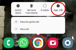 Chrome App Info.jpg