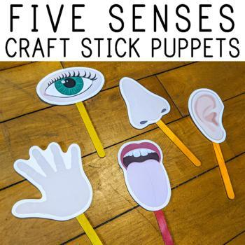 File:Five senses.png