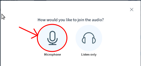 File:BBB selection of microphone option.png