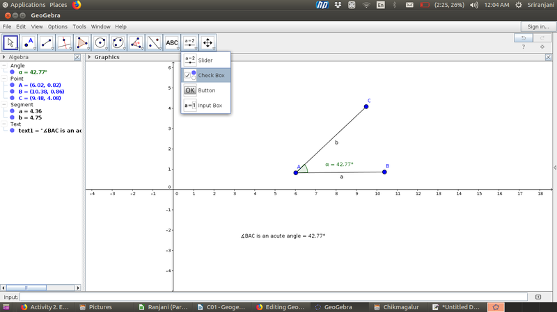 File:Geogebra checkbox.png