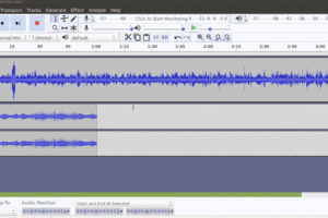 Audacity Amplifynew.gif