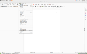 Opening the Extension Manager.png