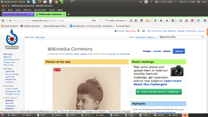 COL - Wikimedia Commons 1.png