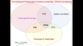 TPACK Graphic description, IT for Change.png