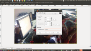 Scaling an image using GIMP.png