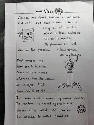 Virus 2.jpg