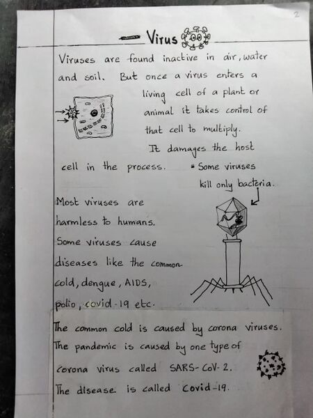 File:Virus 2.jpg
