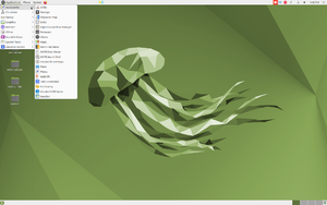 Ubuntu home screen.png