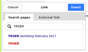 5. Internal Link TROER.png