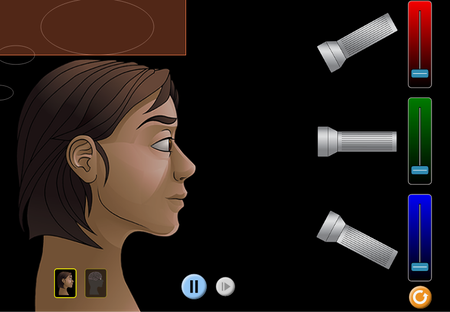 PhETcolorvision.png