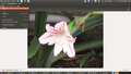 Thumbnail for version as of 08:43, 4 April 2017