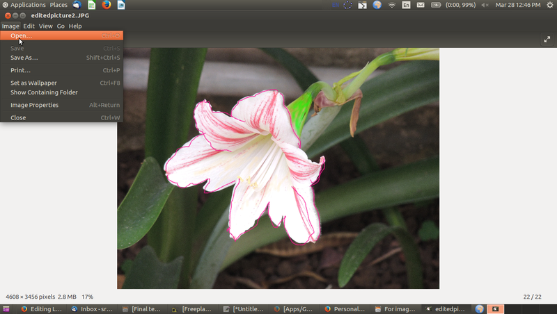 File:Imageviewer1.png