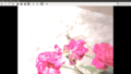 Thumbnail for version as of 09:00, 4 April 2017