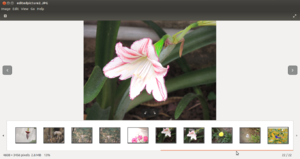 Imageviewer6.png