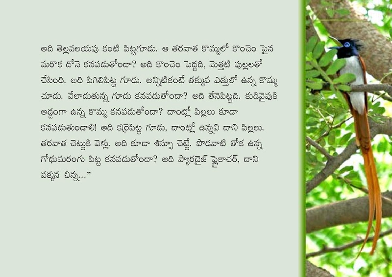 File:Birds in Telugu from Vidyaonline.pdf