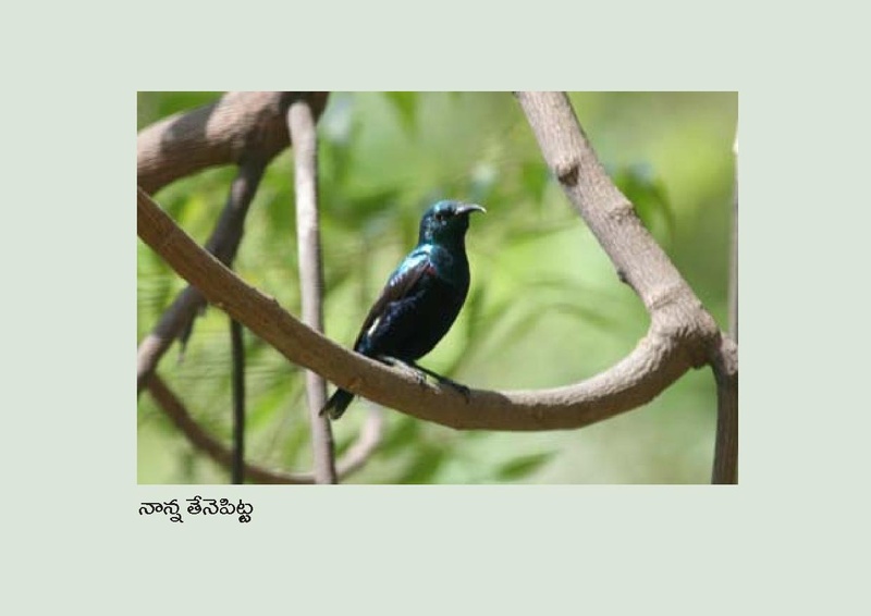 File:Birds in Telugu from Vidyaonline.pdf