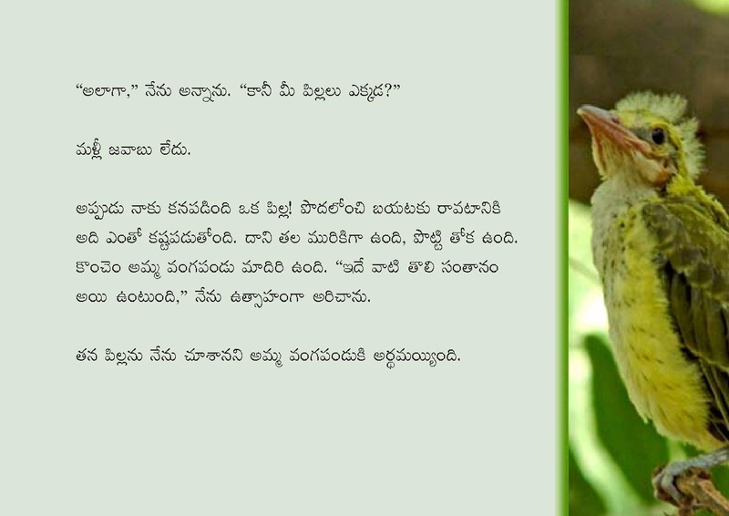 File:Birds in Telugu from Vidyaonline.pdf