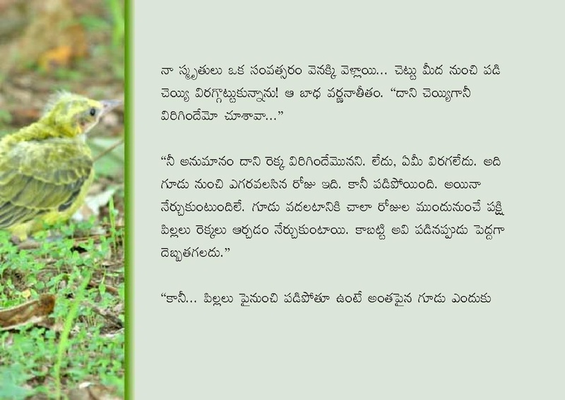 File:Birds in Telugu from Vidyaonline.pdf
