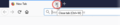 Thumbnail for version as of 04:34, 9 March 2022