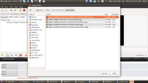 COL open shot importing files.png