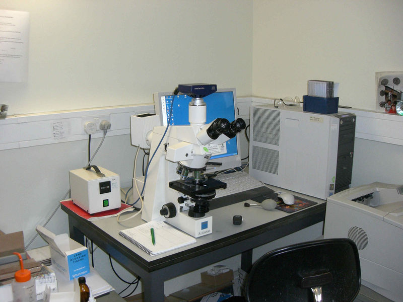 File:Microscope And Digital Cameralowres.JPG