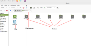Managing files folders.png