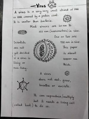 Virus 3.jpg