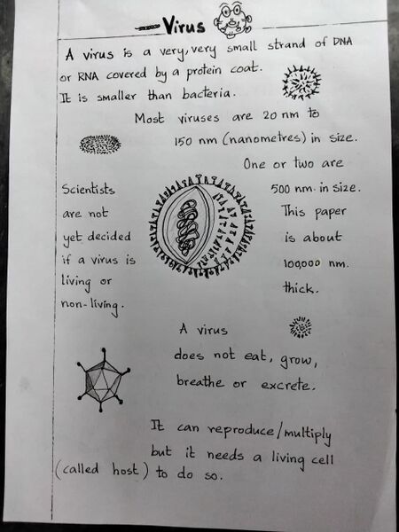 File:Virus 3.jpg