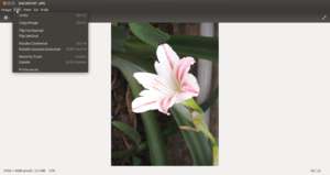 Imageviewer4.png
