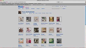 Flickr 3 Photos of Flickr.jpg