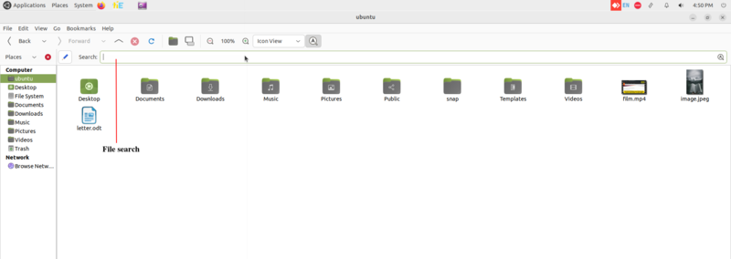 File:File search.png