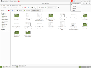 Selecting preferences.png