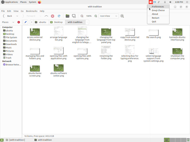 File:Selecting preferences.png