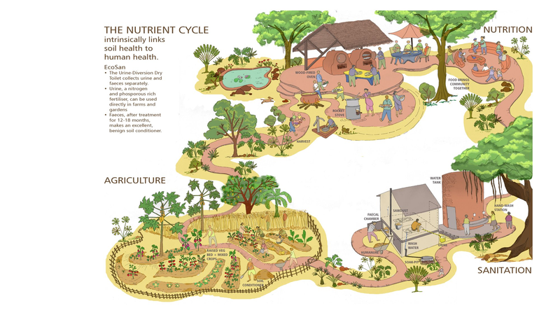 File:Soil cycle.png