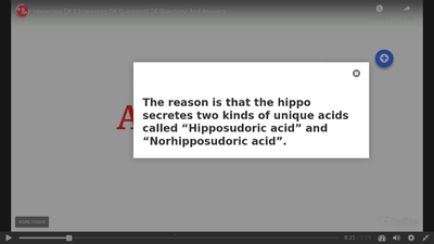 Interactive video 3.png