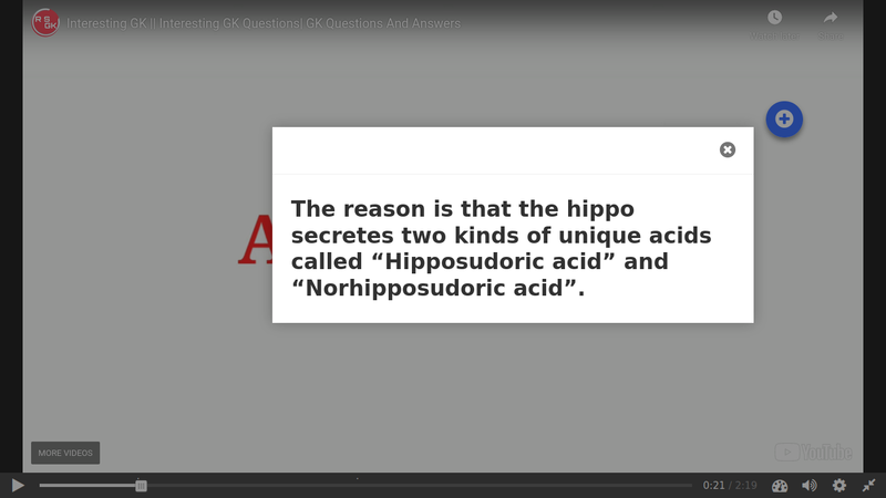 File:Interactive video 3.png