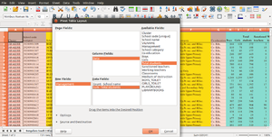Insert data, row and column fields.png