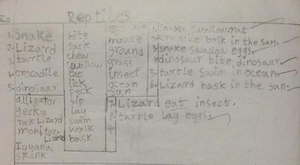 Image sentence table.png