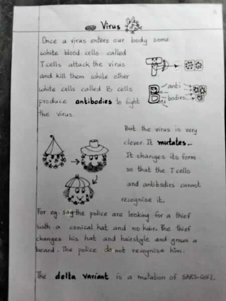 File:Virus 1.jpg