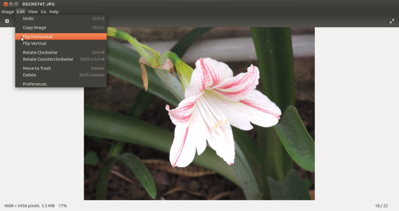 चित्र:Image Viewer3.png