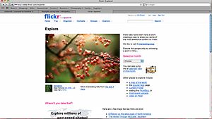 Flickr 8 Screenshots of Flickr.jpg